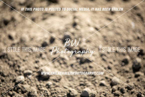 TR2_5402