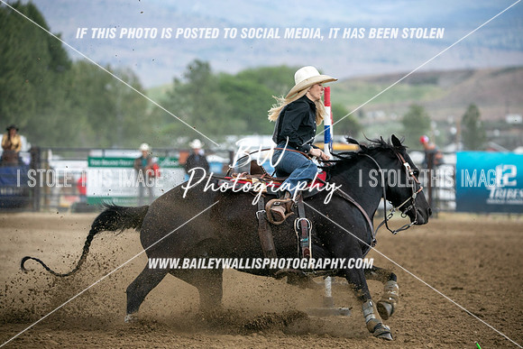 HS1_4219