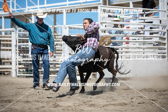 RR1_3941