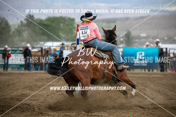 HS1_3991