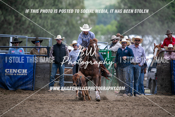 HS2_2790