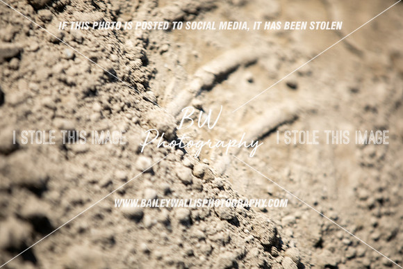 TR1_2579A