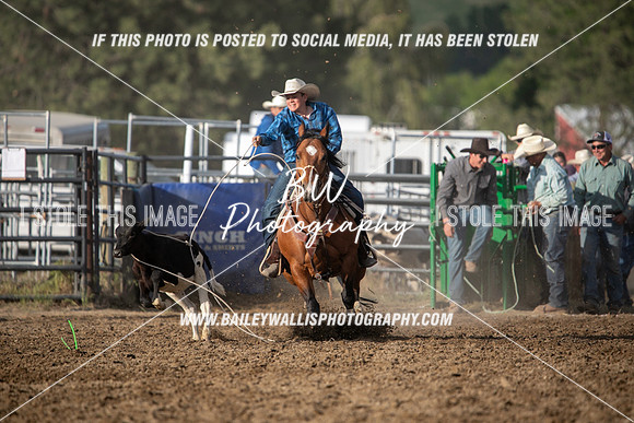 JH1_3868