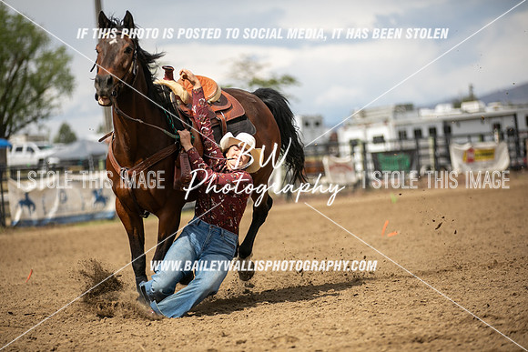 HS1_2993