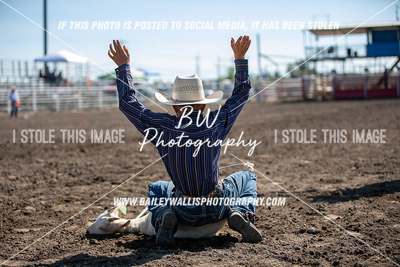 LS2_1010