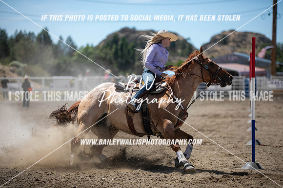 RR1_4071