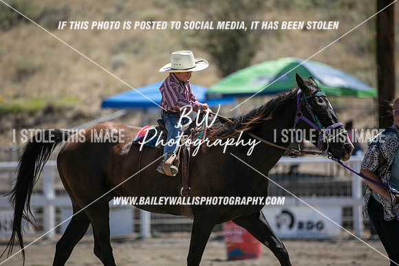 RR1_3502