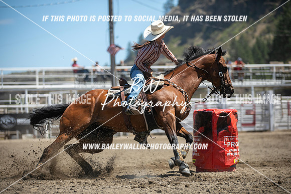 RR2_3478