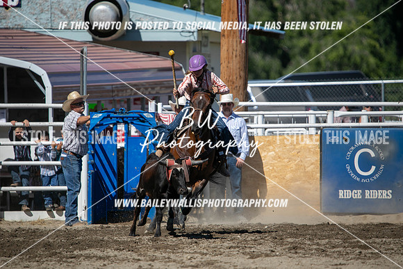 RR1_0870
