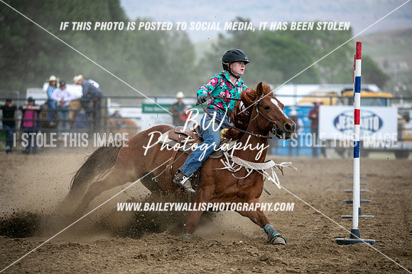 HS1_3960