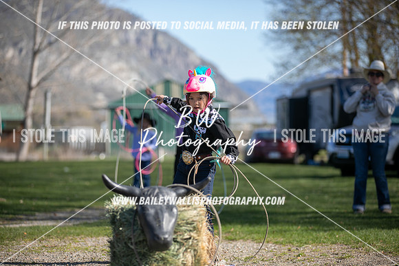 TR2_0339