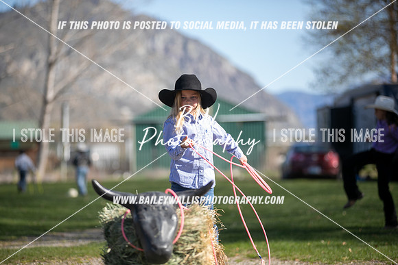 TR2_0401