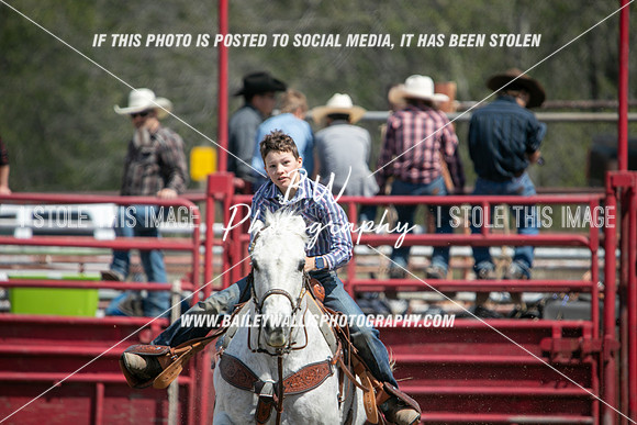 NR1_2454