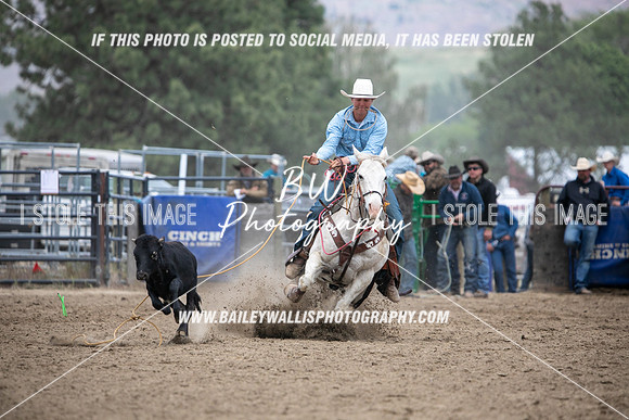 HS2_3973