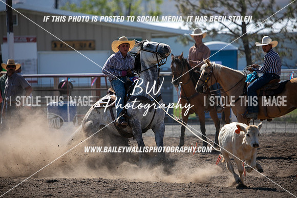 LS1_4698