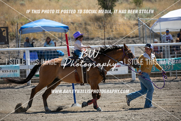 GC2_3619