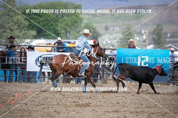 HS1_2707