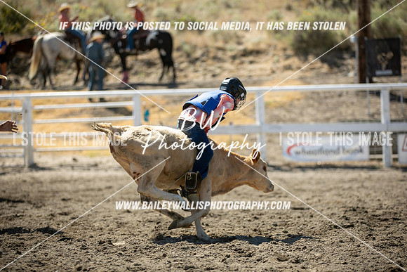 RR2_1583