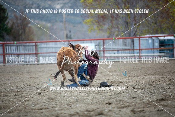 TR1_3664